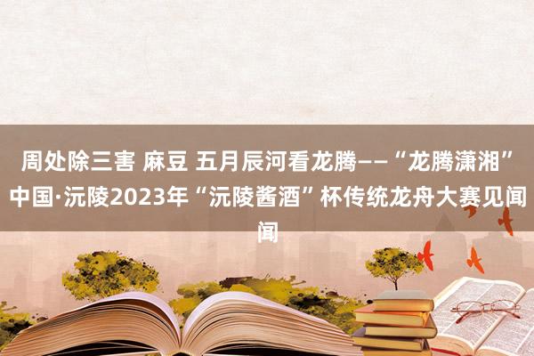 周处除三害 麻豆 五月辰河看龙腾——“龙腾潇湘”中国·沅陵2023年“沅陵酱酒”杯传统龙舟大赛见闻